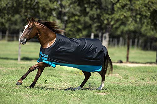 Horseware Amigo Mio Turnout medium black turquoise Weidedecke Winterdecke (115)