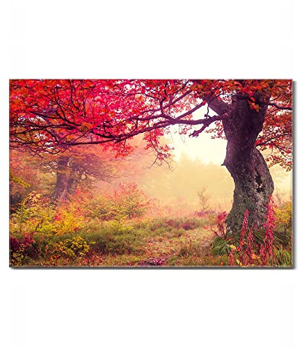 banjado Glas Magnettafel (60 x 40cm) - Magnetwand Glas - Magnetpinnwand als Memoboard - Pinnwand Magnettafel Küche, Büro, Kinderzimmer - Lichtung Im Herbst