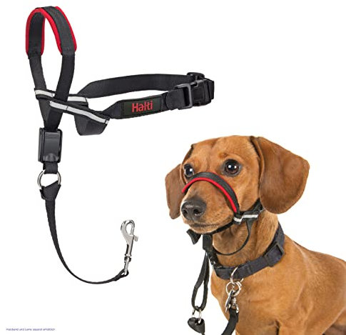 HALTI Optifit Kopfgeschirr, Größe Klein- Verhindert, dass Ihr Hund an der Leine zieht, Einfache Anpassung, Leicht, mit gepolstertem Nasenriemen, Anti-Zug-Halsband für kleine Hunde