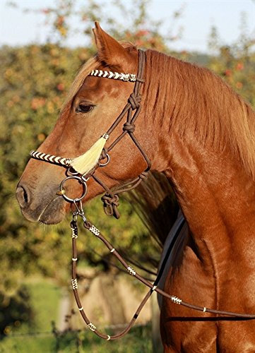 Barefoot Seneca Reithalfter Größe COB