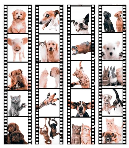 murando Papel Pintado PURO 10m Fotomurales tejido no tejido rollo | Decoración de Pared decorativos Murales XXL moderna de Diseno Fotográfico Animal Gato Perro Caballo Cerdo Conejo