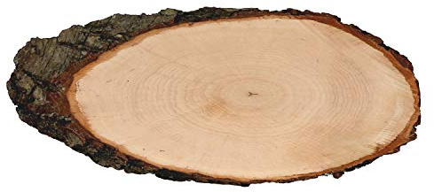 Rindenbrett Esche oval - Rindenscheibe Baumscheibe geschliffen Holzbrett