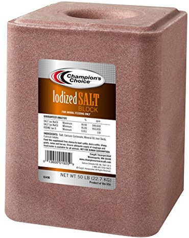 Iodized Salt Block 50lb