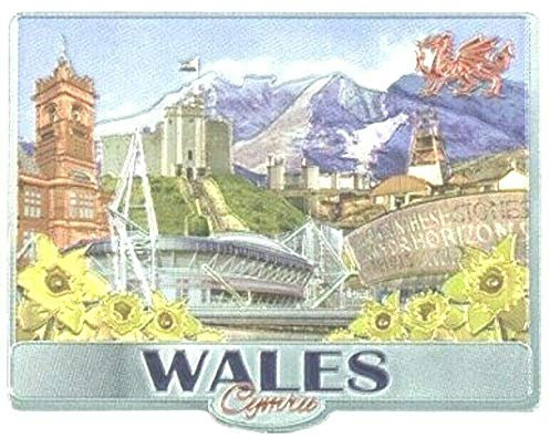 Welsh Fridge Magnet Wales Souvenir Gift Cymru Collage Montage Scenes Landmarks