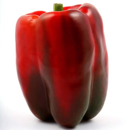 PEPERONE QUADRATO D'ASTI ROSSO NR.200 SEMI