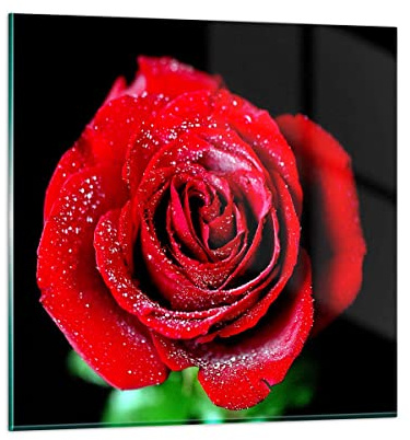 Moderno Quadro in Vetro 40x40 cm Stampe da Parete Botanica Fiori - 0370 | Rosa Fiore Caffè Quadro Decorativo Piccolo Decorazione Murale Soggiorno Arte da Parete Decorazione da Parete ARTTOR