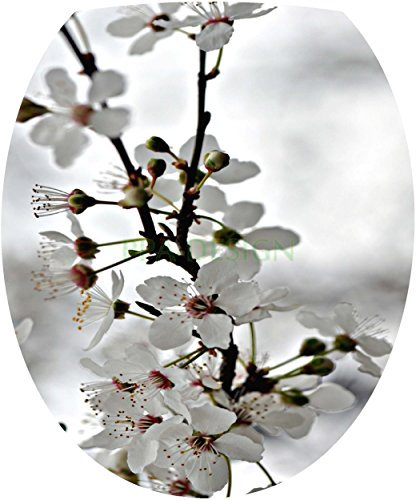 Sticker Autocollant Abattant WC Fleur de Cerisier 35x42cm SAWC0017
