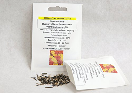 Studentenblume Sonnenschein-Prachtmischung, gefüllt