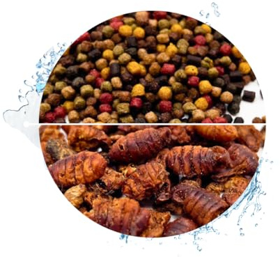 Koi Koifutter * 5-Sorten-Mix * 15Liter + 1 Liter Seidenraupen (3mm)