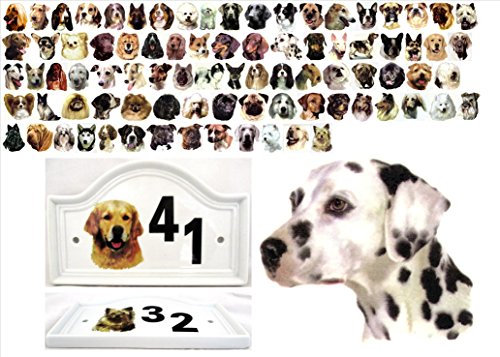 Rainbow Decors Ltd - Targa in ceramica con numero civico, motivo con dalmata, personalizzabile con qualsiasi numero, decorata a mano nel Regno Unito
