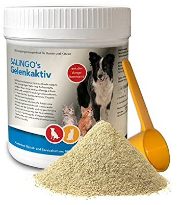 SALiNGO Gelenkaktiv, Gelenkpulver für Hunde und Katzen, Grünlippmuschelpulver mit Teufelskrallenwurzel & Kieselerde, entzündungshemmend und vorbeugend, 375g