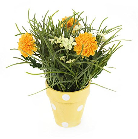 Closer2Nature Artificial 27cm Golden Yellow Chrysanthemum Plant Display in a Decorative Polka Dot Pot, Faux Flowers Decoration Plants for Indoors in Home, Kitchen, Lounge and Office