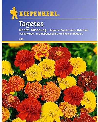 Tagetes 'Bonita Mischung',1 Portion