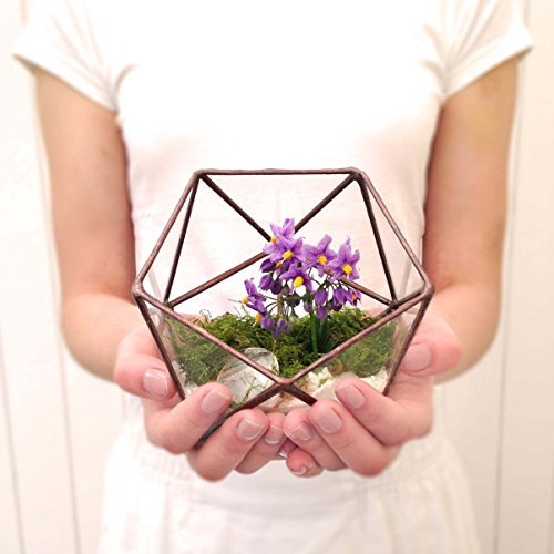 icosaedro Cristal geométrico Pequeño terrario//Handmade Maceta de cristal/Moderno Maceta para interior Jardinería/Vidriera terrario – Hecha a mano por LoveGlass, vidrio, marrón, 14x15x12