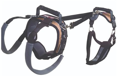 PetSafe CareLift Stützgeschirr, Ganzkörper-Hebehilfe mit Griff und Schultergurt, ideal für Mobilität von Haustieren und älteren Hunden, um ihnen zu helfen, bequemes, atmungsaktives Material, Größe M,