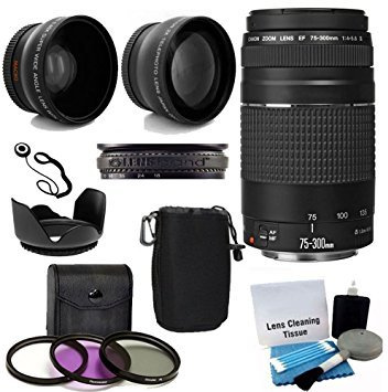 Canon EF 75-300mm f/4-5.6 III Telephoto Zoom Lens with 2X Telephoto Lens, HD Wide Angle Lens and Accessories (8 Piece Kit)