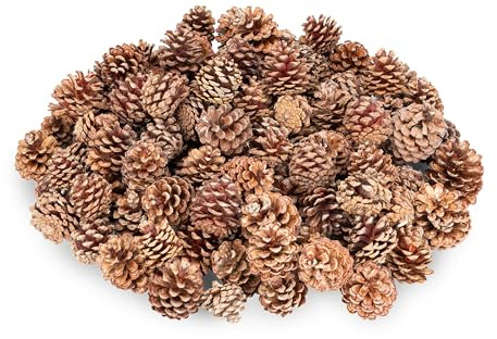NaDeco Bergkiefer Zapfen Natur 0,5kg ca. 100–130 Stück – Tannenzapfen 3–5cm – Pinus mugo – Kiefernzapfen getrocknet für Weihnachtsdeko, Adventskranz, Basteln, Naturdeko, Herbstdeko