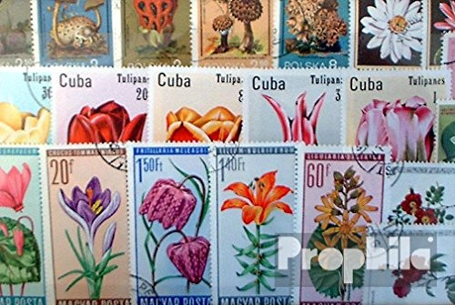 Prophila Collection Motive 100 Verschiedene Blumen und Pflanzen Marken (Briefmarken für Sammler) Pflanzen/Pilze
