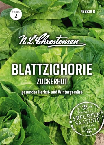 Zichoriensalat Schweizer Zuckerhut (Portion)
