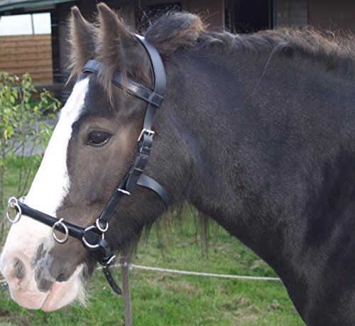 Kappzaum mit Gebiss Einhängung Minipony Minishetty Mini Shetty Pony VB WB Leder Schwarz Tysons (P)
