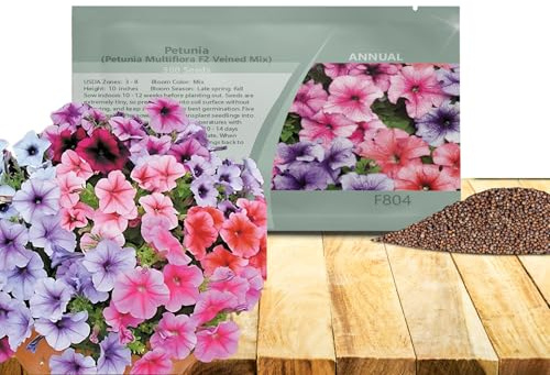Outsidepride Veined Multiflora Petunia Seeds - 500 Pcs. Annual, Compact, Flower Seeds for Planting, Vibrant Blooms, Ideal for Garden Beds, Hanging Baskets & Container Displays