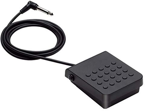 Casio SP-3 - Sustain Pedal Compatible with All Casio Keyboards and Digital Pianos with A Pedal Jack