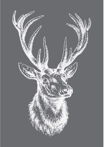 Rayher uppsättning maskstencil och hantverksskrapa för pappershantverk, korttillverkning och målning, återanvändbar silkesskärmmall med röd hjort design, 14,8 x 21 cm, 45062000