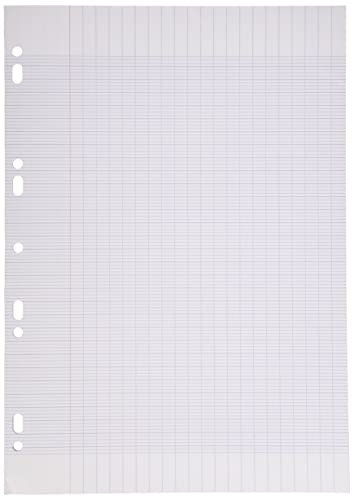 Clairefontaine 14791C Un Étui de Copies Doubles Perforées - A4 21x29,7 cm - 500 Pages Grands Carreaux - Papier Blanc 90 g - Étui Réutilisable