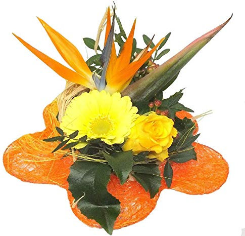 Blumenstrauß Exotic mit Glasvase & Glückwunschkarte – Bunter Strauß mit tropischen Blumen für Geburtstagsfeiern, Jubiläen und besondere Anlässe – Frische Lieferung direkt nach Hause