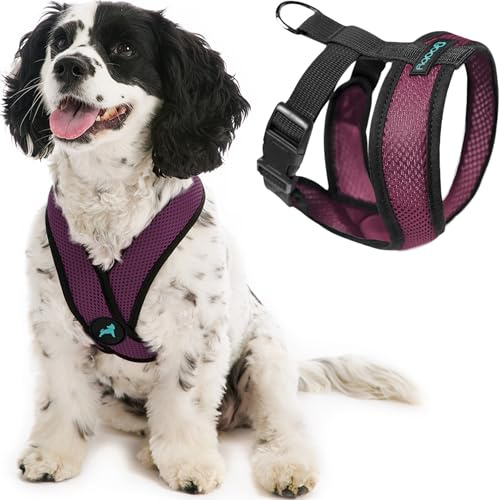 Gooby Comfort X Head-in-sele, dragfri, för små hundar, med patenterad kvävningsfri X-sele, perfekt hundsele för promenader med medelstora hundar, för inomhus- och utomhusbruk, lila, L