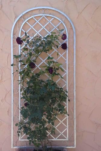 Rankgitter Spalier Rankhilfe Wandgitter Provence XXL 120/240 Feuer Verzinkt für Rosen Gross und hoch