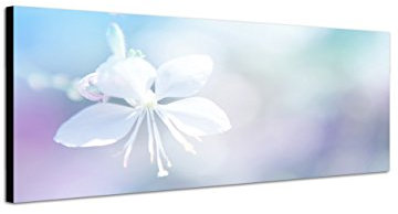 Augenblicke Wandbilder Keilrahmenbild Wandbild 150x50cm Blüte Blume Farbfilter Nahaufnahme