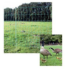 Göbel betesstång Euro nät fjäderfän 25 m lång 112 cm hög inte strömledande 9 rymlig enkel spets grön