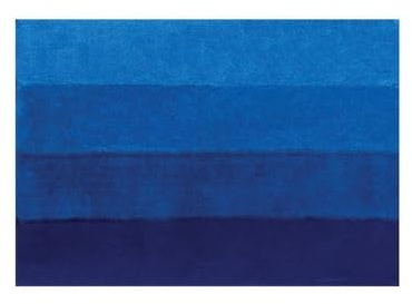 Spirella Badteppich Badematte Badvorleger Duschvorleger Mikrofaser Hochflor flauschig 60x90 cm – Blau