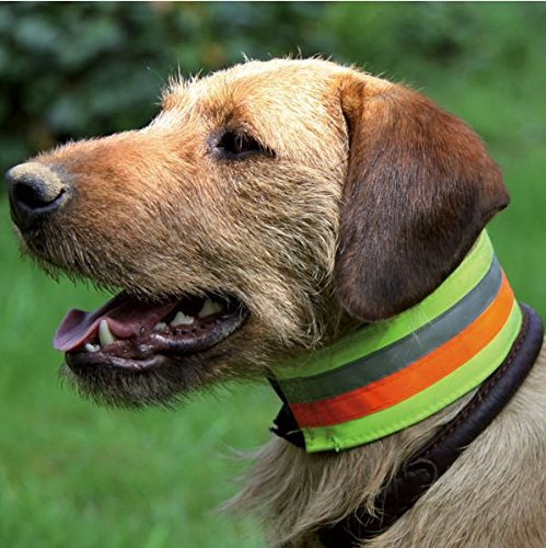 Signal- und Warnhalsung reflektierend, 3-Farbiges Halsband AKAH, Größen Halsband reflektierend:50 cm Halsumfang