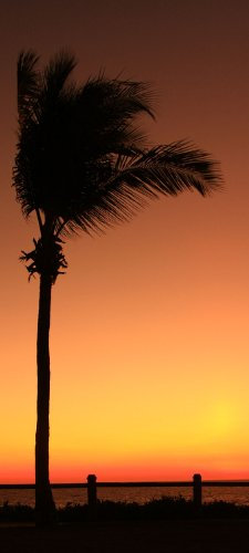 wandmotiv24 Türtapete Broome Sunset Palm TT136 90x200cm Natur Australien Tapete Strand