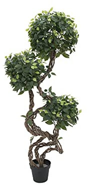 EUROPALMS Ficus Multi Spiralstamm, Kunstpflanze, 160cm | Ficus mit kunstvoll gedrehtem Multistamm