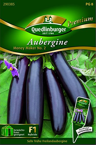 Auberginen Freiland- Money Mak - Solanum melongena QLB Premium Saatgut sonstige Gemüsesamensonstige Gemüsesamen