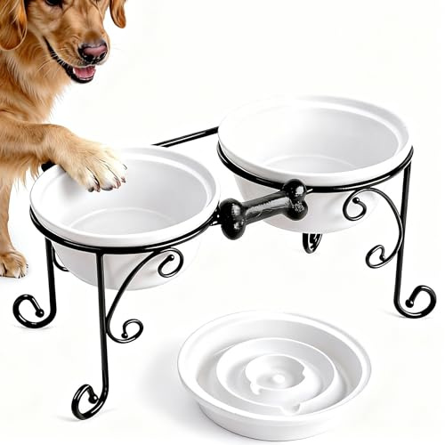 BestVida Gamelles surélevées, Support gamelle Chien surelevee, Porte-Gamelles Surélevée pour Chien avec Bols Doubles en céramique de qualité supérieure (Grand, Blanc)