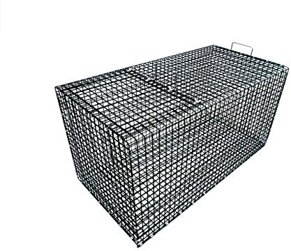 Model 402.5 - Tomahawk Coated Live Fish Box