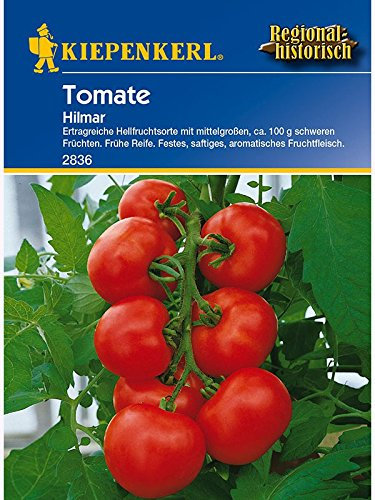 Kiepenkerl 2836 Tomate Hilmar (Tomatensamen)