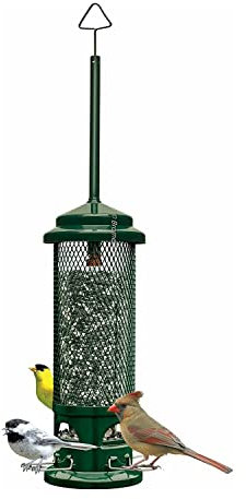 Squirrel Buster Legacy Eichhörnchensicher Vogelfutterspender für Wildvögel - 4 abnehmbare Sitzstangen aus Metall, 1,2 kg Samenkapazität, kaufestes Design, leicht zu reinigen, Grün