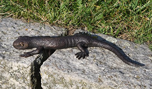 Unbekannt Bronzefigur Salamander Eidechse Reptil exotisch Skulptur Gartenfigur Wohdeko - 17x2x8