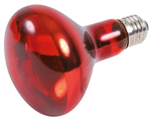 Trixie 76097 infraröd värmespotlampa, ø 80 × 108 mm, 100 W