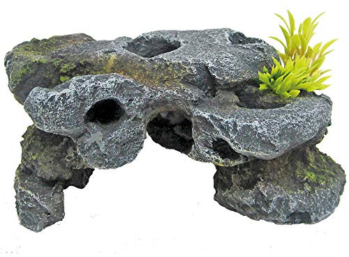 Amtra Wave Japan Roccia 1