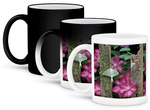 3dRose Pennsylvania, Luna moth insect, clematis flowers - US39 BJA0006 - Jaynes Gallery 11oz Magic Transforming Mug