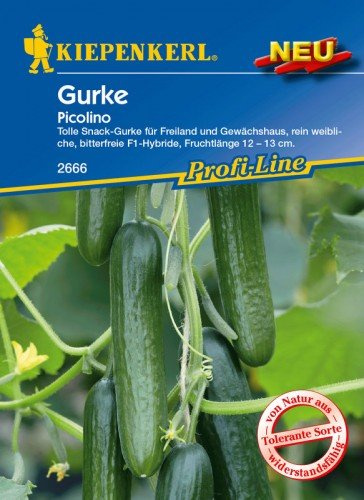 Kiepenkerl Profi-Line Snackgurkensamen Picolino F1 - Widerstandsfähige F1-Hybride Gurkensamen 2666, Ideal für Snack-Gemüse