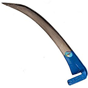 FALCE SS SENZA BARBA cm.55 100 FALCI [FALCI ]