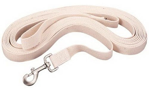 Weaver Leather Flat Cotton Lunge Line, 1 x 30' with Snap