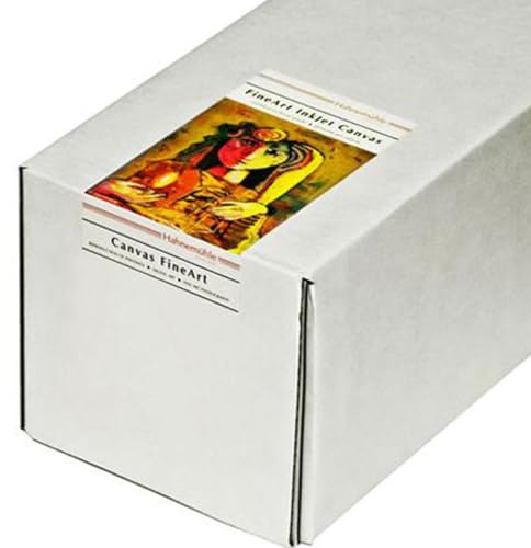 Hahnemühle 10643489 Digital FineArt Daguerre Canvas Papier, 400 g/m², 17 Zoll Rolle, 432 mm x 12 m, hellweiß